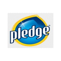 Pledge