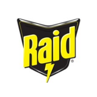 Raid